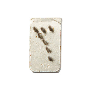 Brojevi za tetovir klešta 0-9, 10 mm